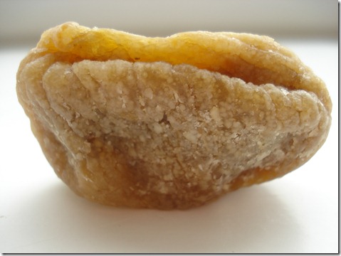 September 26, 2010 013