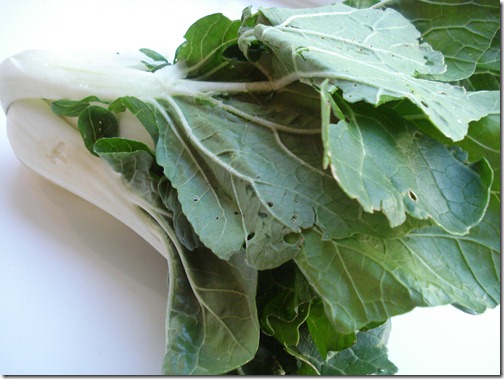 November 5, 2010 006