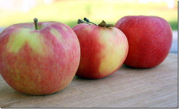 September 21, 2011 015