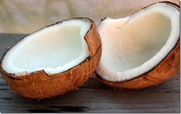 September 5, 2011 020