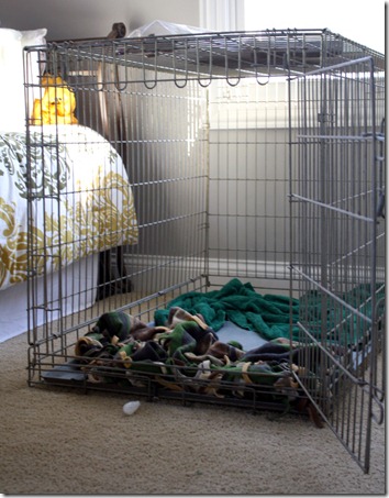 september 20, 2011 004