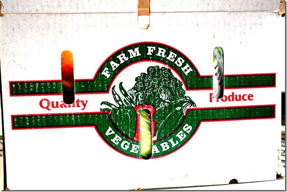 November 10, 2011 007