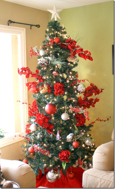 November 25, 2011 006