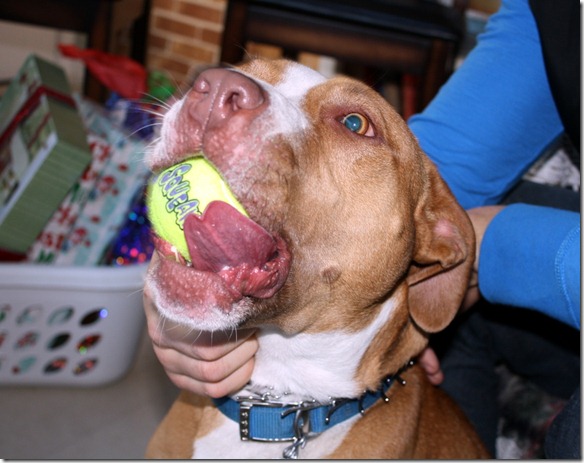 December 27, 2011 030