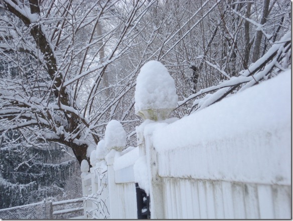 December 4, 2010 029